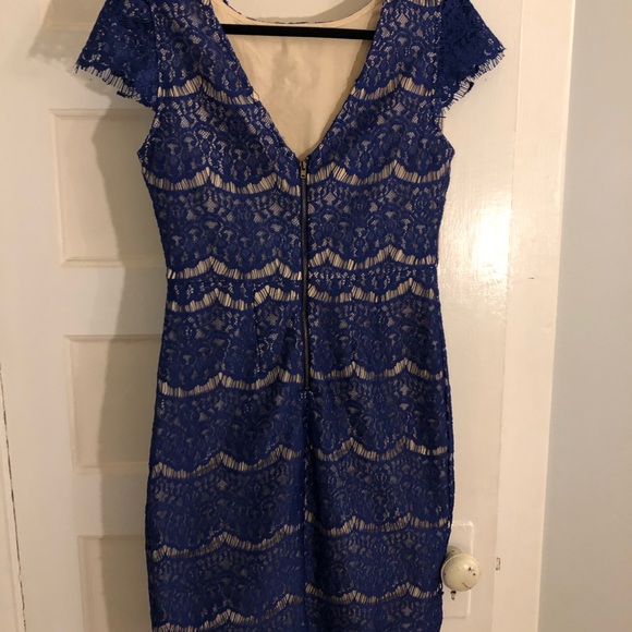 Blue Eyelash Lace Dress - Picture 7 of 8